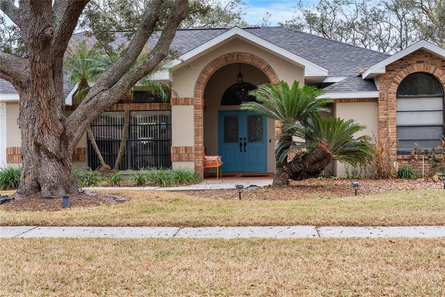 1619 PALACE COURT, Valrico, FL 33594