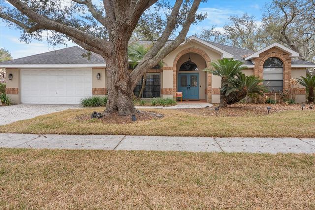 1619 PALACE COURT, Valrico, FL 33594