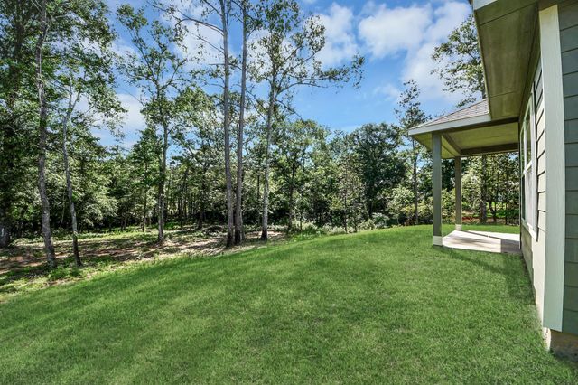 11779 Oakwood Ranch Drive, Willis, TX 77378