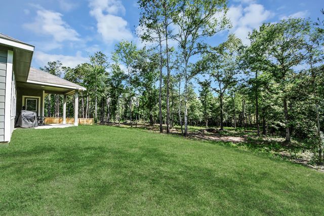 11779 Oakwood Ranch Drive, Willis, TX 77378