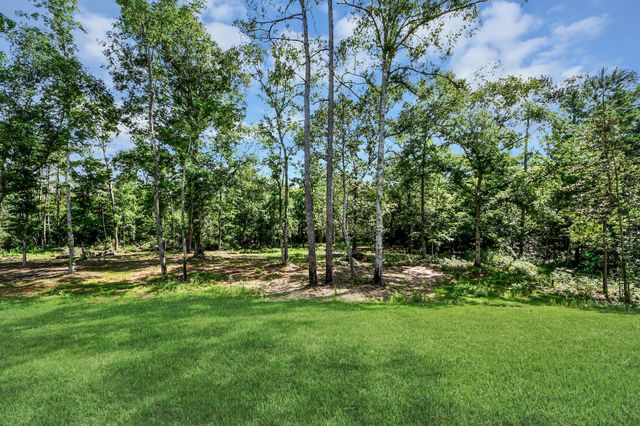 11779 Oakwood Ranch Drive, Willis, TX 77378