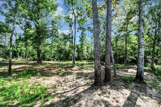 11779 Oakwood Ranch Drive, Willis, TX 77378