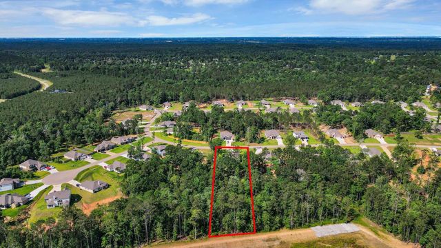 11779 Oakwood Ranch Drive, Willis, TX 77378