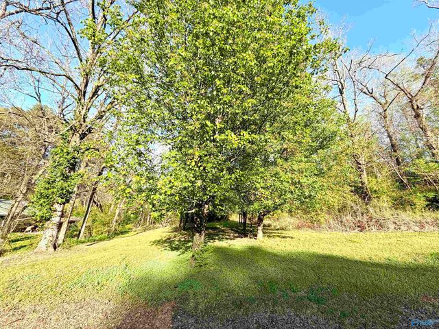 1310 Paris Street, Gadsden, AL 35904