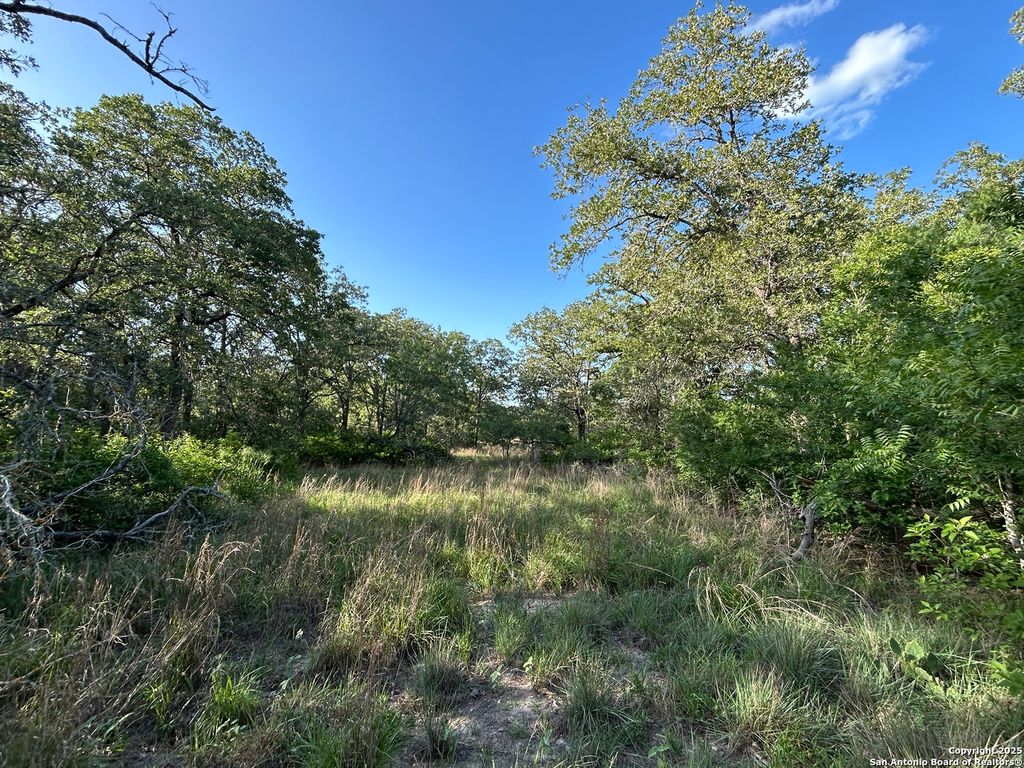 175 Smith, La Vernia, TX 78121