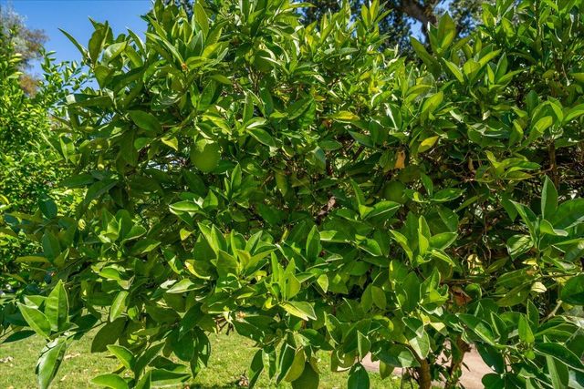 6681 Riverside Drive, Redding, CA 96001