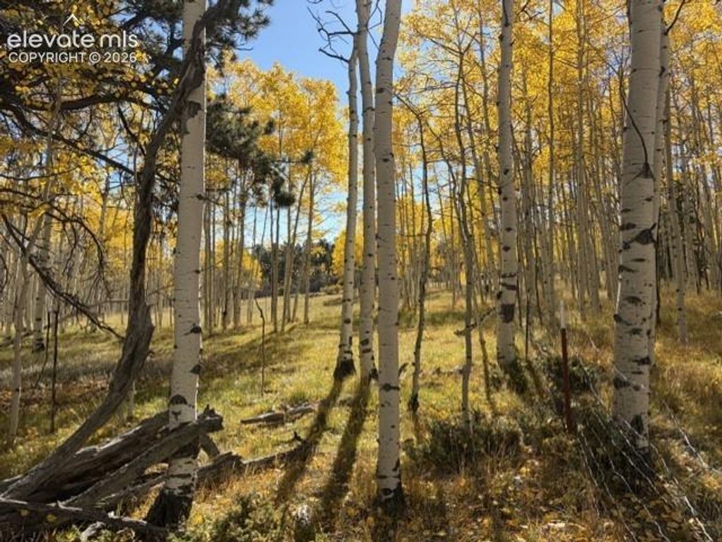 417 Aspen Way Drive, Florissant, CO 80816 — exterior