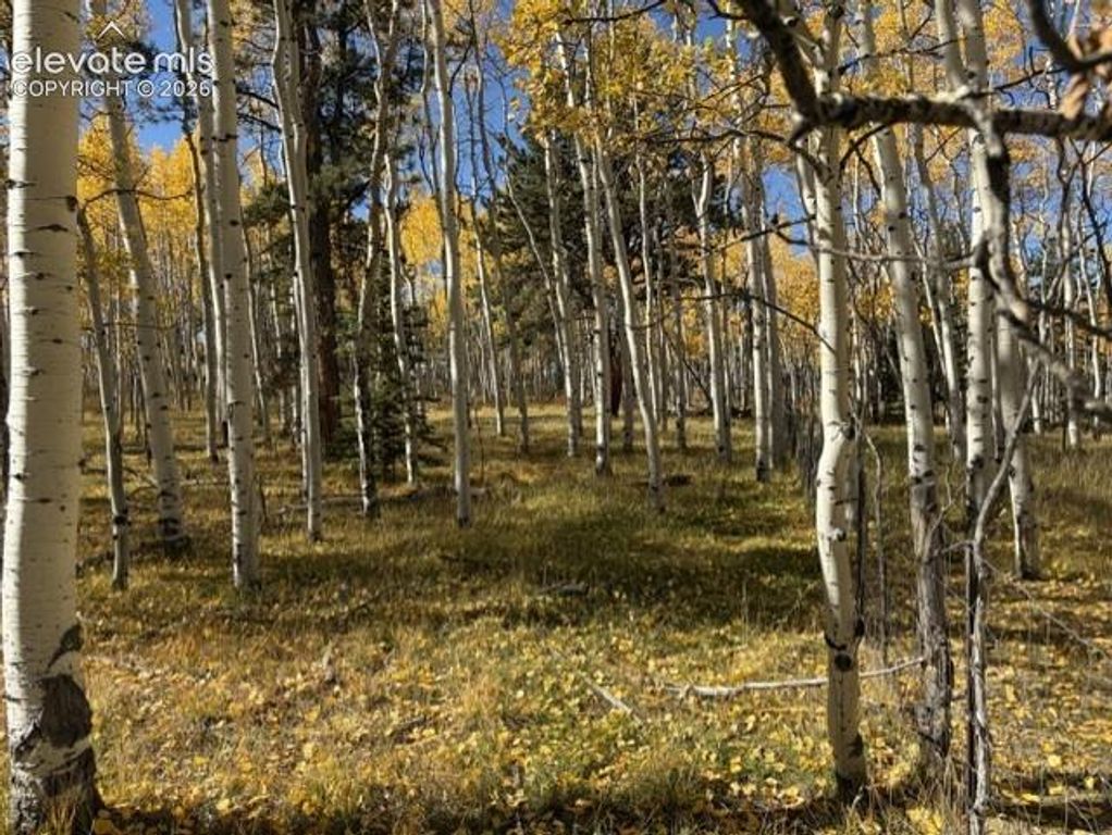417 Aspen Way Drive, Florissant, CO 80816 — photo 2