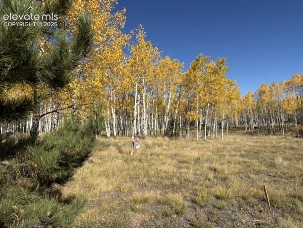 417 Aspen Way Drive, Florissant, CO 80816 — photo 3