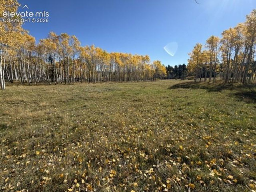 417 Aspen Way Drive, Florissant, CO 80816 — photo 4