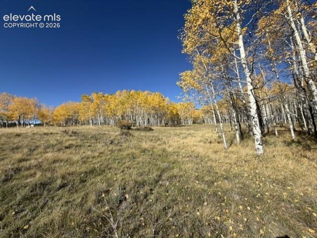 417 Aspen Way Drive, Florissant, CO 80816 — photo 5