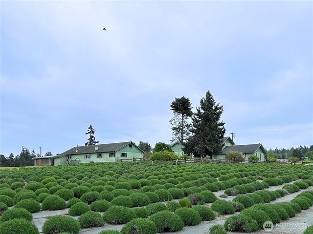 31 Brueckner Road, Sequim, WA 98382