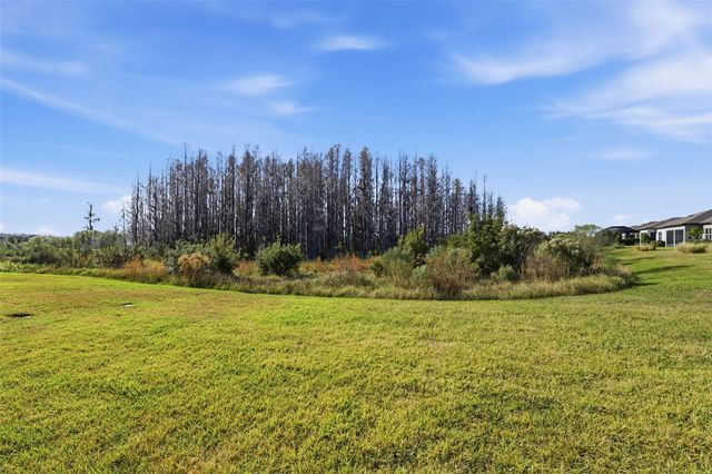 19440 SHIP WHEEL WAY, Land O Lakes, FL 34638