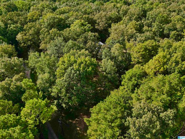 5440 CALDWELL MILL ROAD, Birmingham, AL 35242
