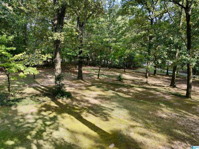 5440 CALDWELL MILL ROAD, Birmingham, AL 35242