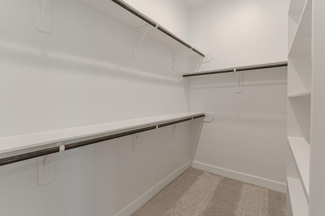 15910 Mahogany Mist Drive, Conroe, TX 77302