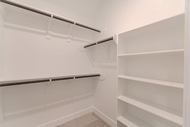 15910 Mahogany Mist Drive, Conroe, TX 77302