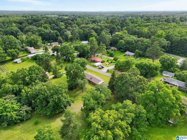 63 MISSISSIPPI AVENUE, Thorsby, AL 35171