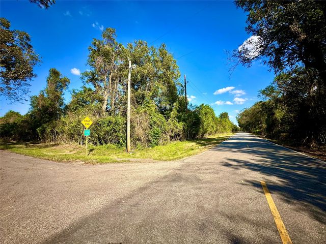 0 County Road 42, Rosharon, TX 77583