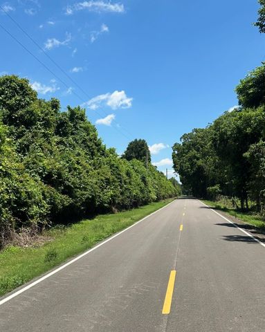 0 County Road 42, Rosharon, TX 77583