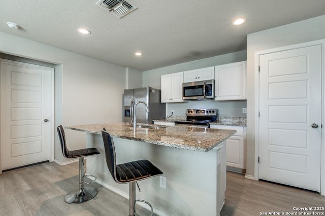 12902 OLSON POINT, San Antonio, TX 78252