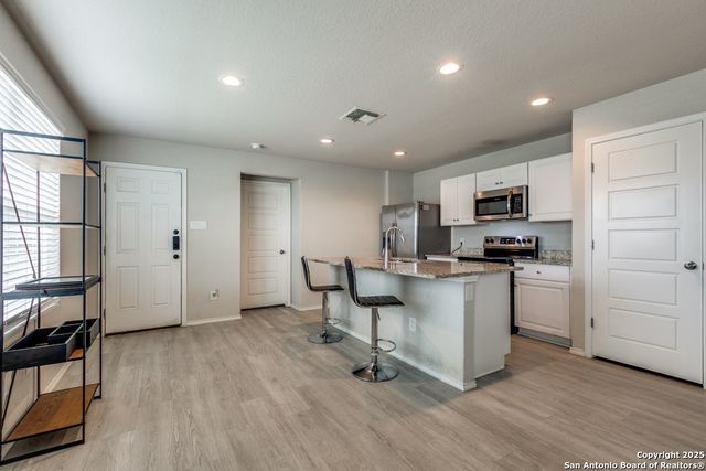 12902 OLSON POINT, San Antonio, TX 78252
