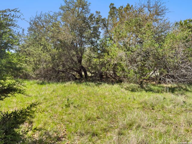 1510 Misty Lane, Spring Branch, TX 78070