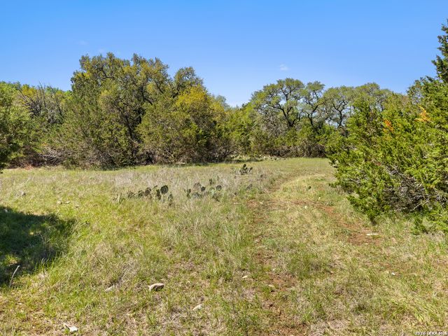 1510 Misty Lane, Spring Branch, TX 78070