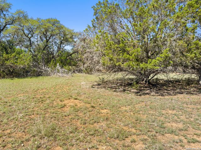 1510 Misty Lane, Spring Branch, TX 78070