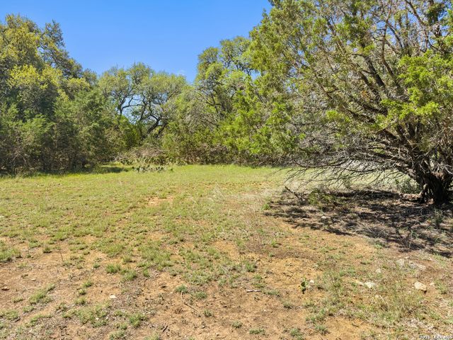 1510 Misty Lane, Spring Branch, TX 78070