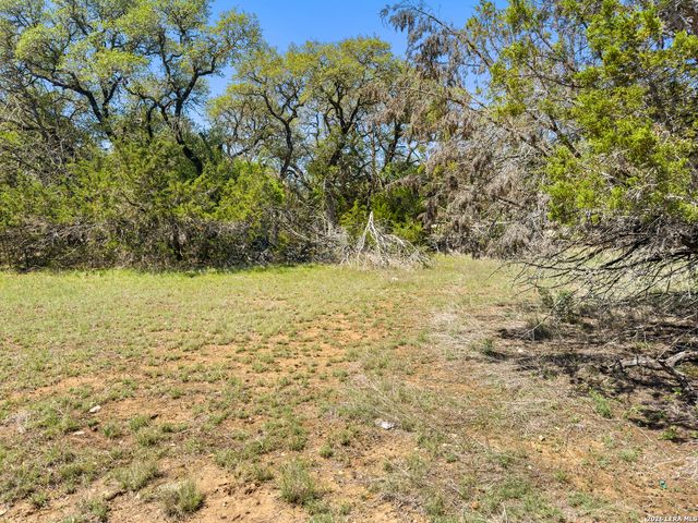 1510 Misty Lane, Spring Branch, TX 78070