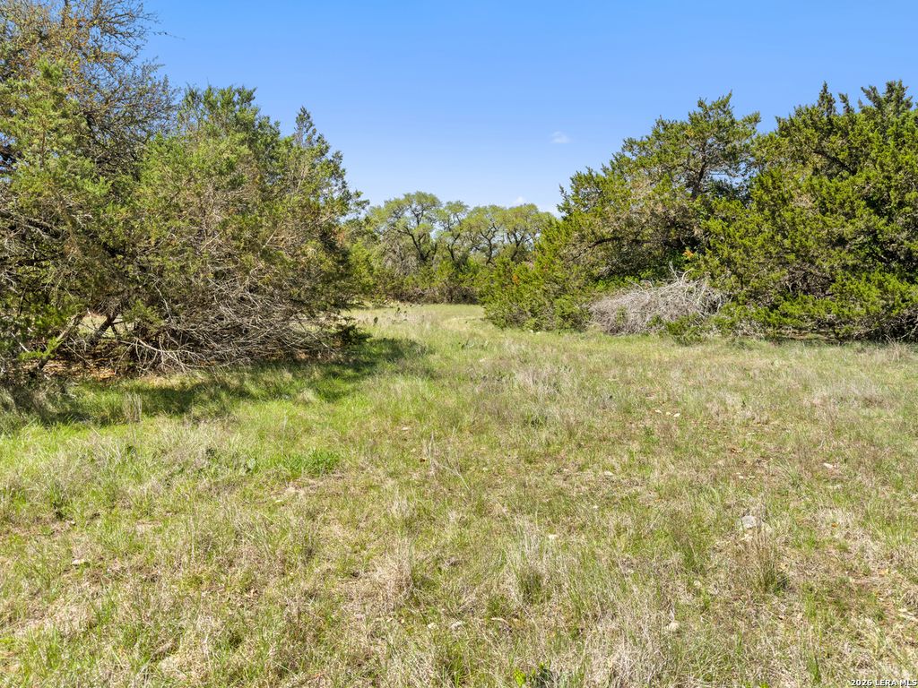 1510 Misty Lane, Spring Branch, TX 78070