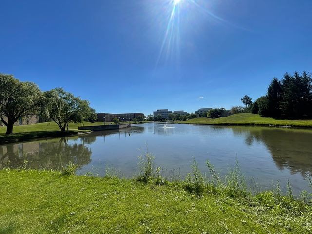 1912 Prairie Square 314A, Schaumburg, IL 60173