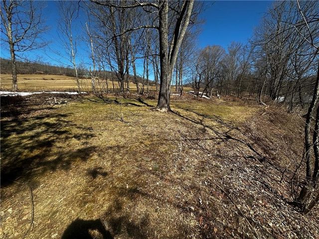 445 Main Street, Andes, NY 13731