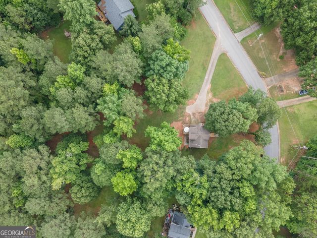 195 Pinewood Drive, Senoia, GA 30276