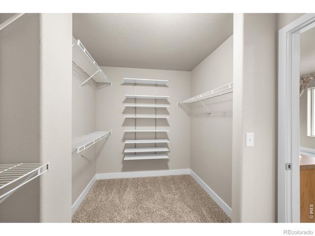 4272 Scenic Lane, Johnstown, CO 80534