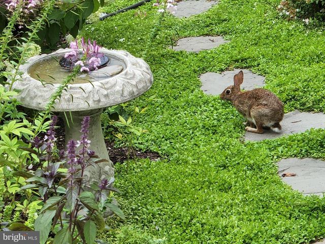 8006 PARROTTS LOT CIR, Easton, MD 21601