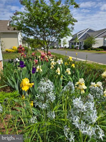 8006 PARROTTS LOT CIR, Easton, MD 21601