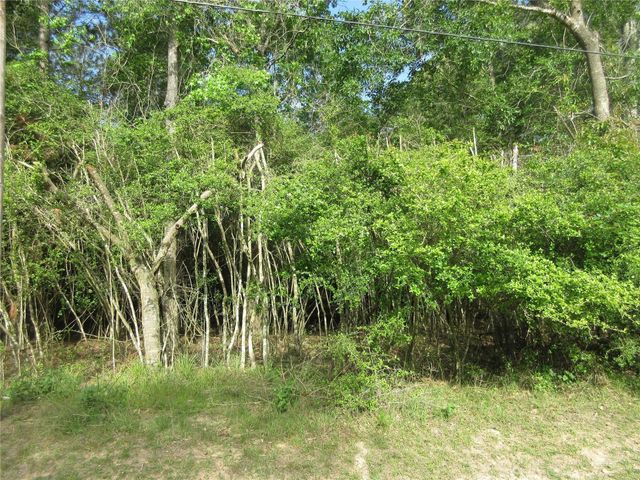 412-414 Wagon Wheel Road, Stagecoach, TX 77355
