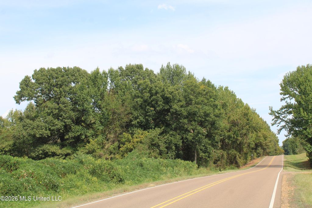 12 Star Landing Road, Nesbit, MS 38651 — exterior