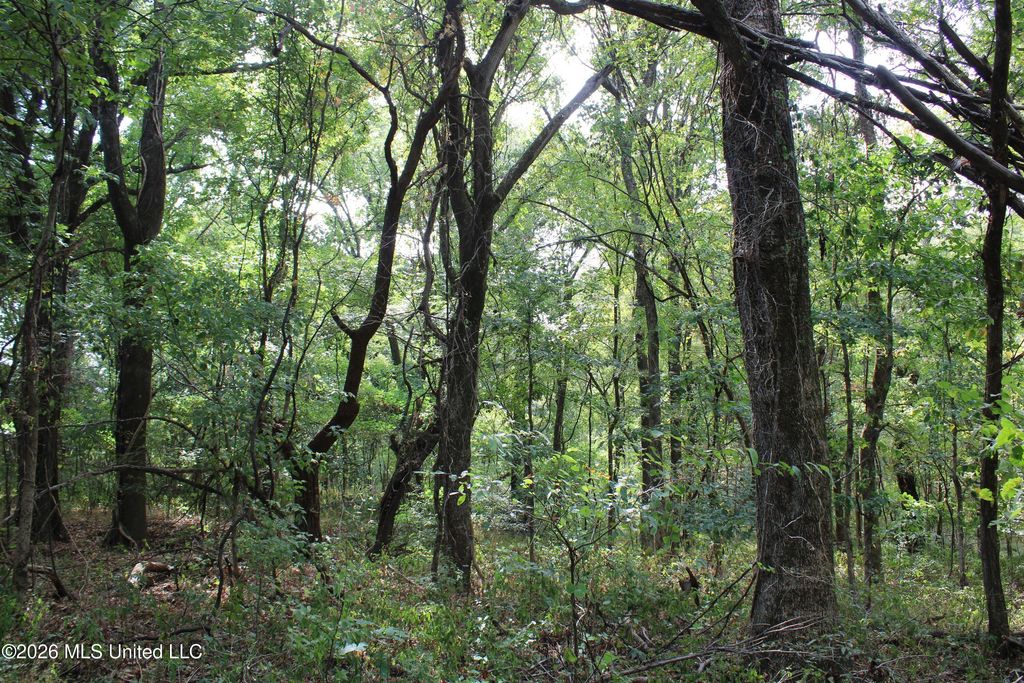 12 Star Landing Road, Nesbit, MS 38651 — photo 4