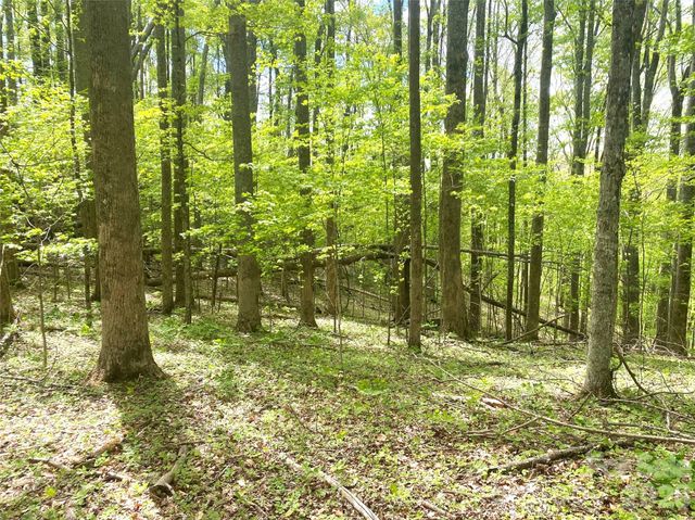 TBD US 23 Highway, Mars Hill, NC 28754