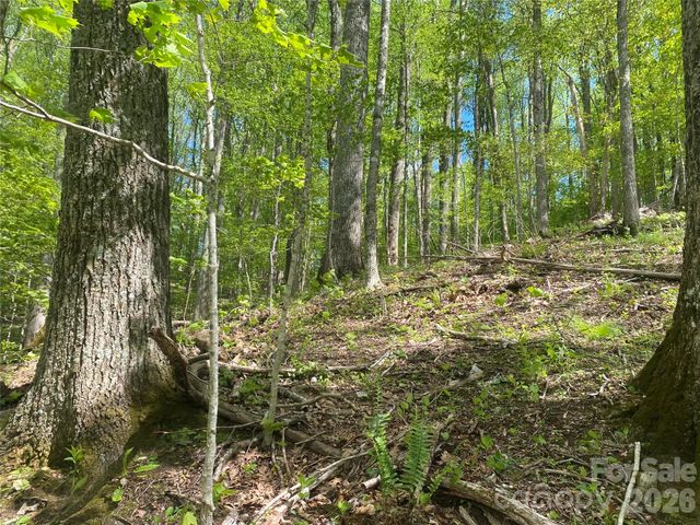 TBD US 23 Highway, Mars Hill, NC 28754