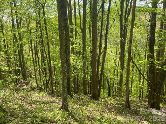 TBD US 23 Highway, Mars Hill, NC 28754