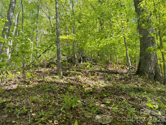 TBD US 23 Highway, Mars Hill, NC 28754