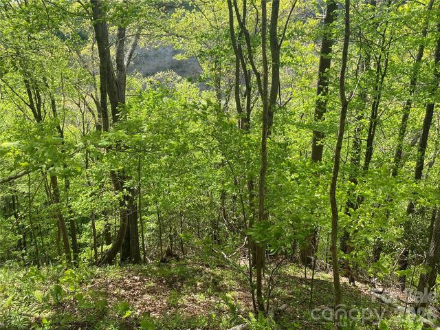 TBD US 23 Highway, Mars Hill, NC 28754