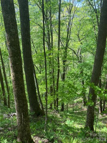 TBD US 23 Highway, Mars Hill, NC 28754