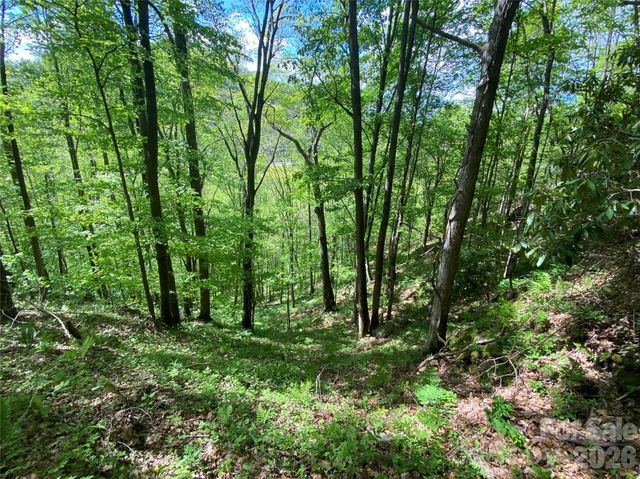 TBD US 23 Highway, Mars Hill, NC 28754