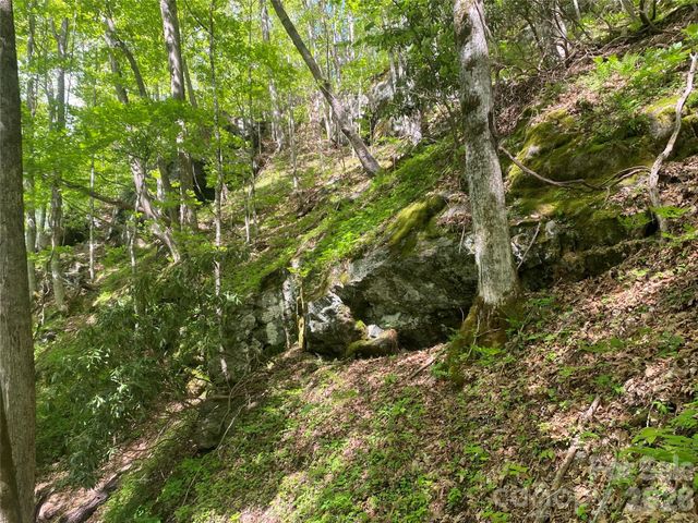 TBD US 23 Highway, Mars Hill, NC 28754