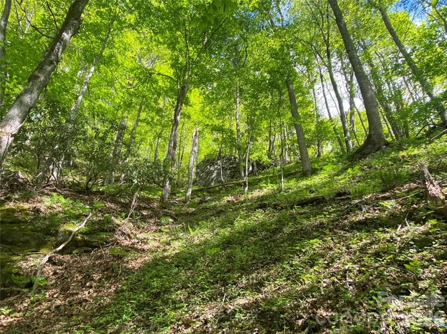 TBD US 23 Highway, Mars Hill, NC 28754